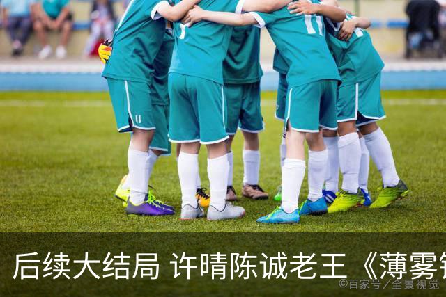 后续大结局 许晴陈诚老王《薄雾锁清秋》《四个工友》